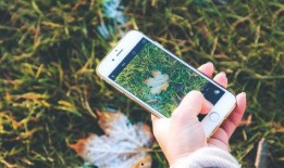 手机看片国产福利永久,手机看片福利无限，带你领略视听盛宴